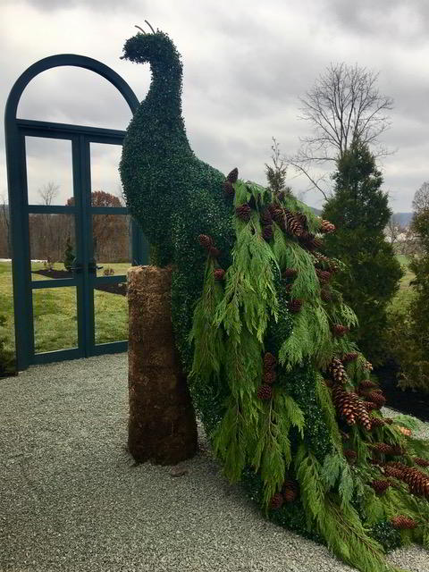 Topiary of a peacock.