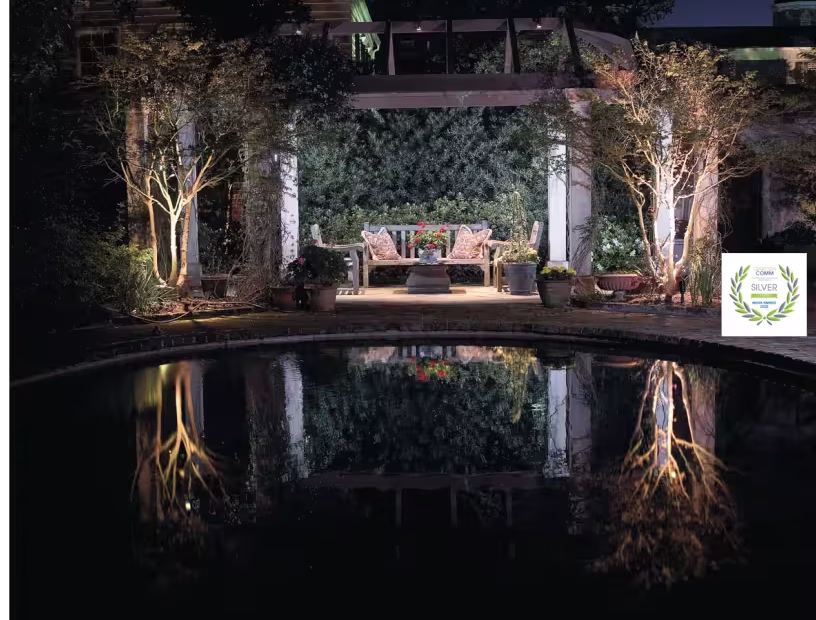 A garden gazebo in the dark for a Garden Goes Dark.